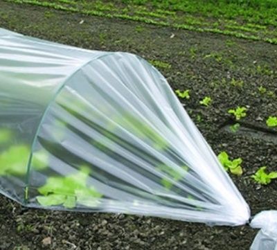 Politilen rulon paketlar tarvuz paket