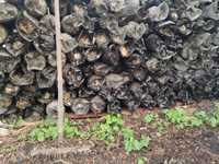 Удобрение для огорода, отработанный грибной блок, из шелухи семечек.