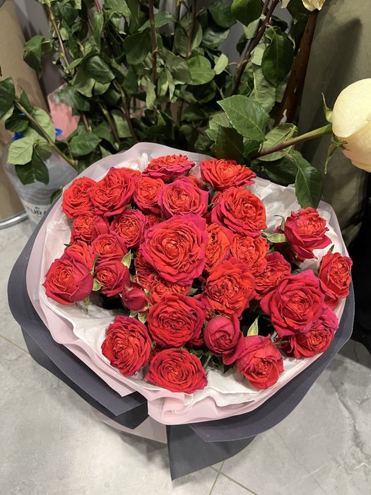 Красивые цветы розы