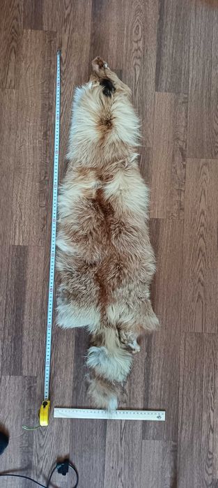 Мех лисы обработанный