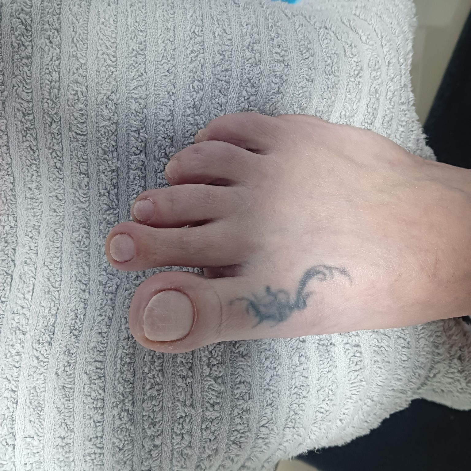 Manichiura pedichiura semipermanta