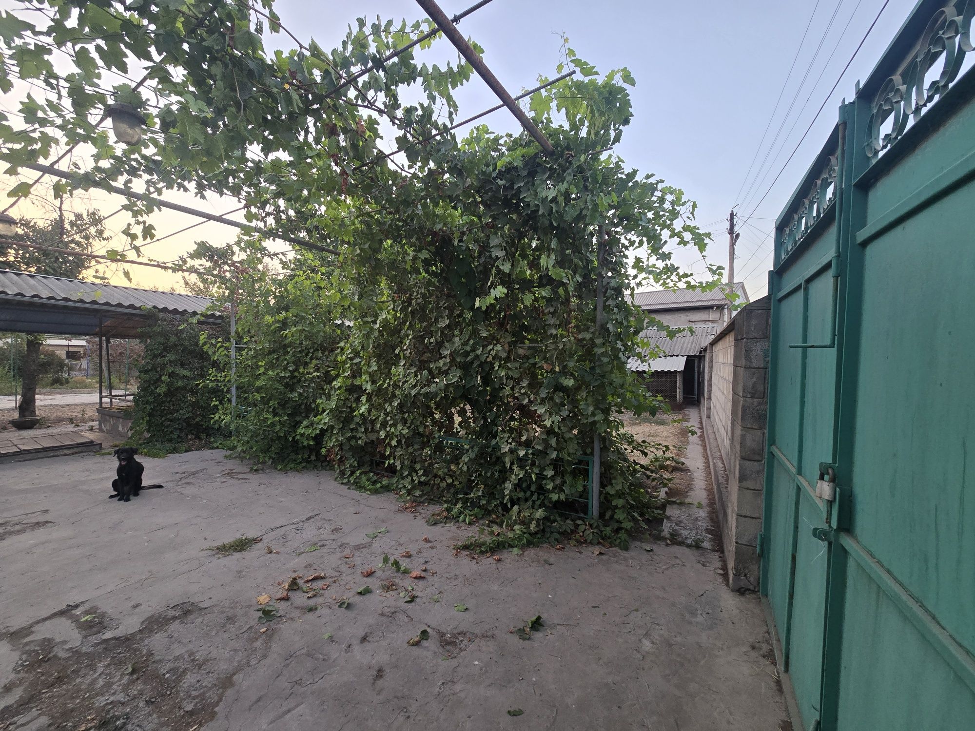 Продаётся дом 10км от куйлюка