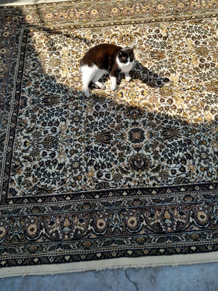 Covor lână Cisnădie