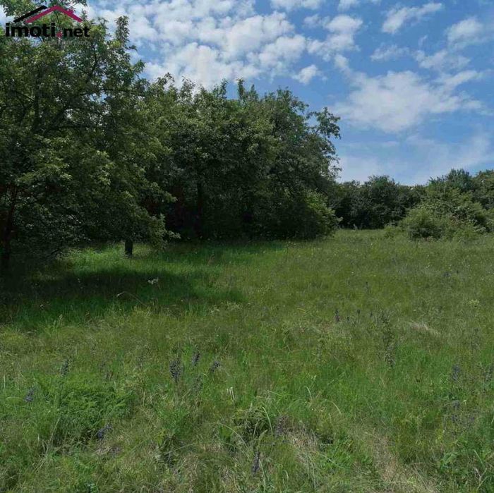 Продава се Парцел в с. Режанци, Област Перник - 1786 кв.м за 26 €/кв.м - Снимка #3