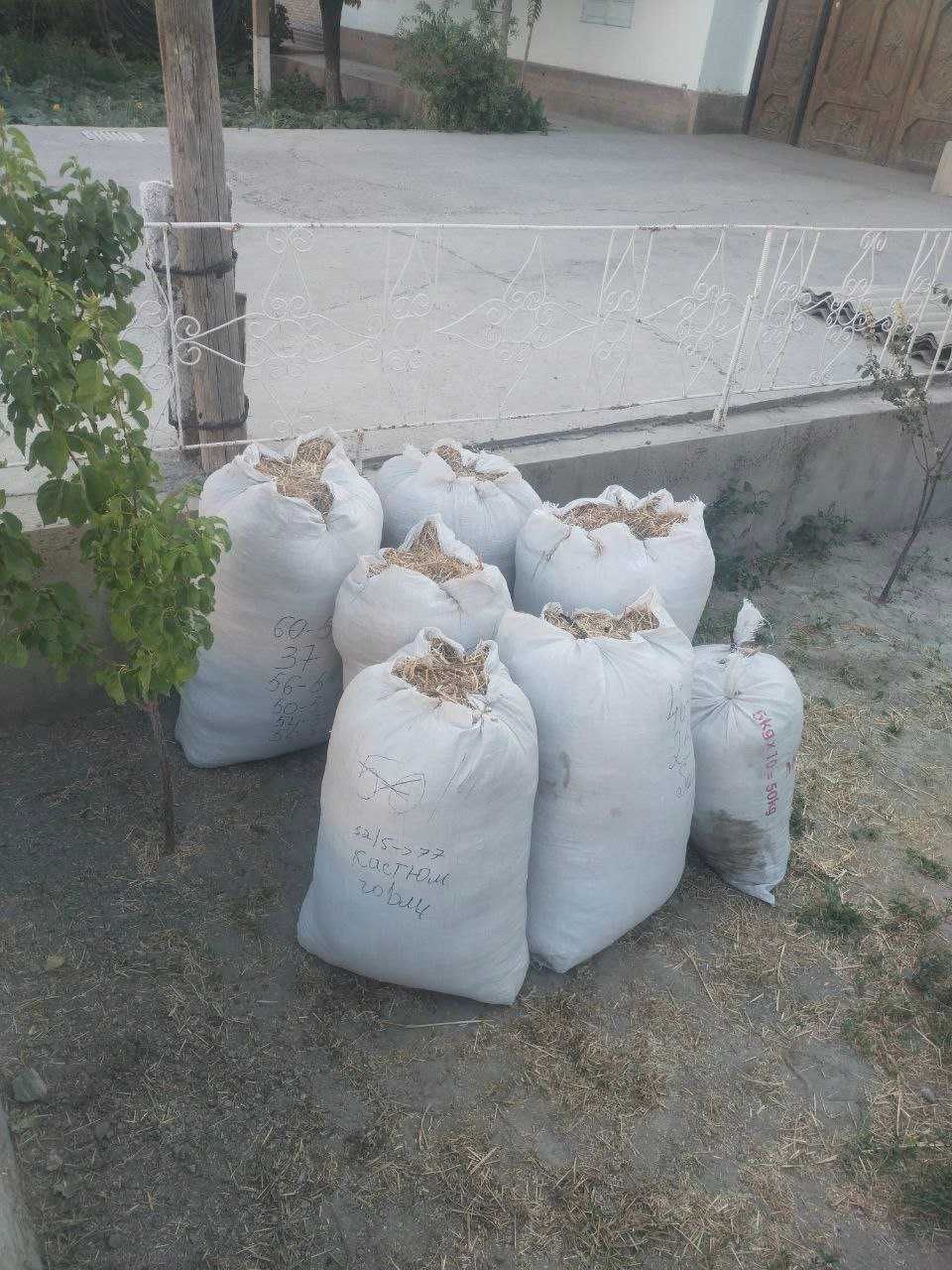 Samon sotiladi...