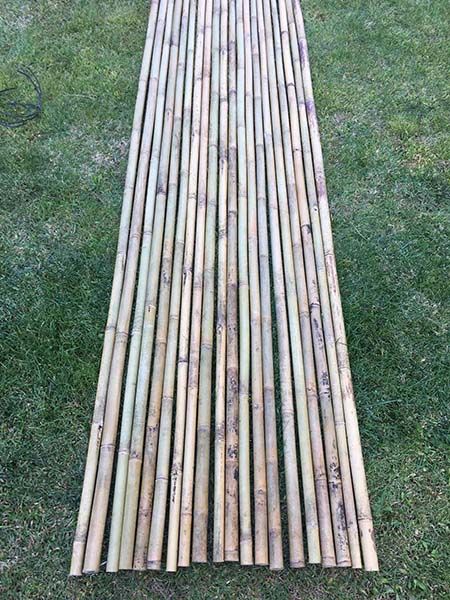 Изсушен бамбук на пръти