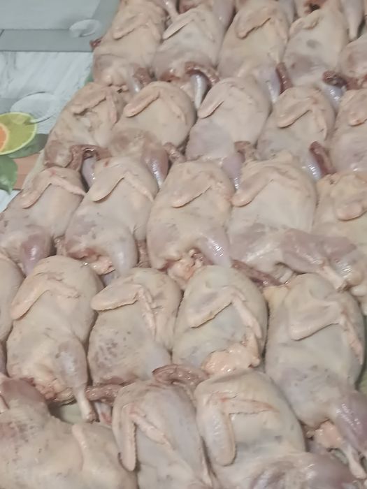 Продам очень полезное и вкусное мясо перепелов