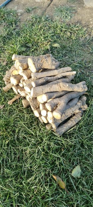 Vând hrean din grădina proprie