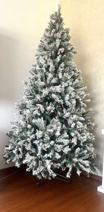 Brad superb  Crăciun 2.1 m ,cumpărat anul trecut