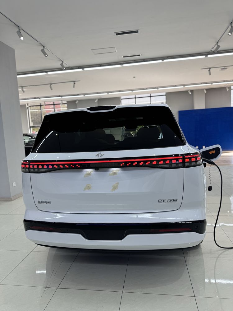 DONGFENG EP008 Hybrid 202km