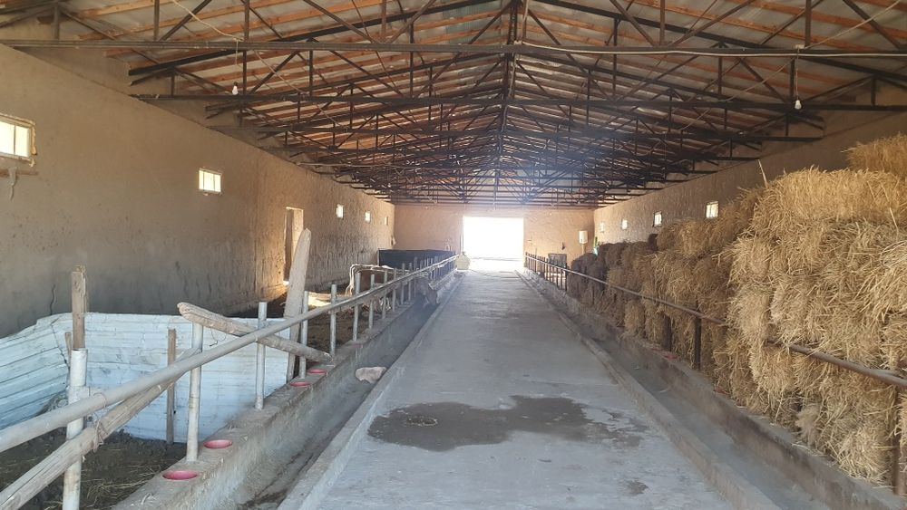 Ферма биноси сотилади.