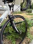 Bianchi Nirone roti pe 23