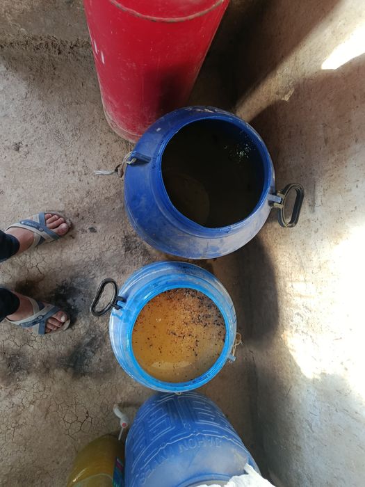 Toza asal bor kelosi 90000 manzil qamashi tumanida