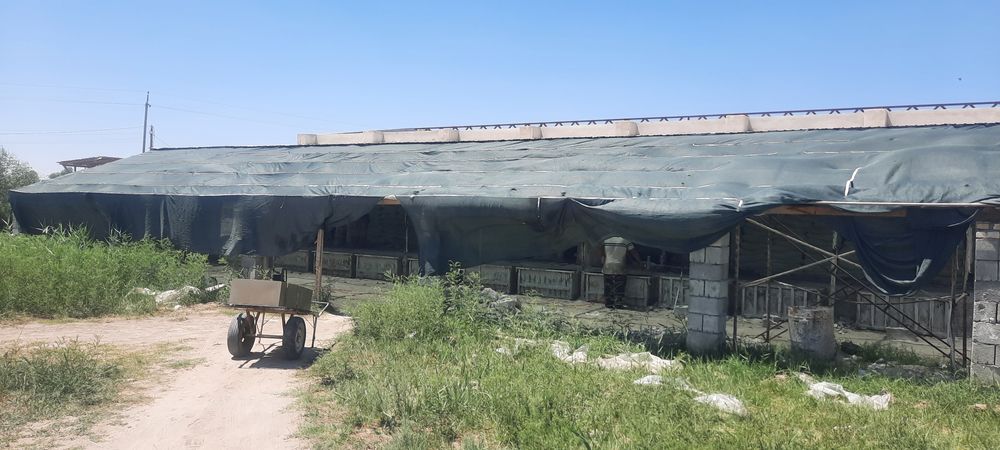 Ишлаб чикариш биноси тайёр бизнес сотилади