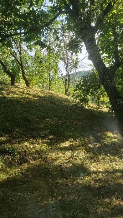 Teren intravilan de vânzare