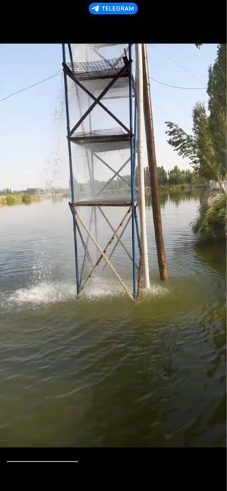 Продается рыбхоз, готовый бизнес