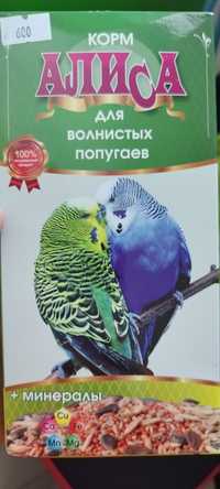 Продам попугайчиков!)