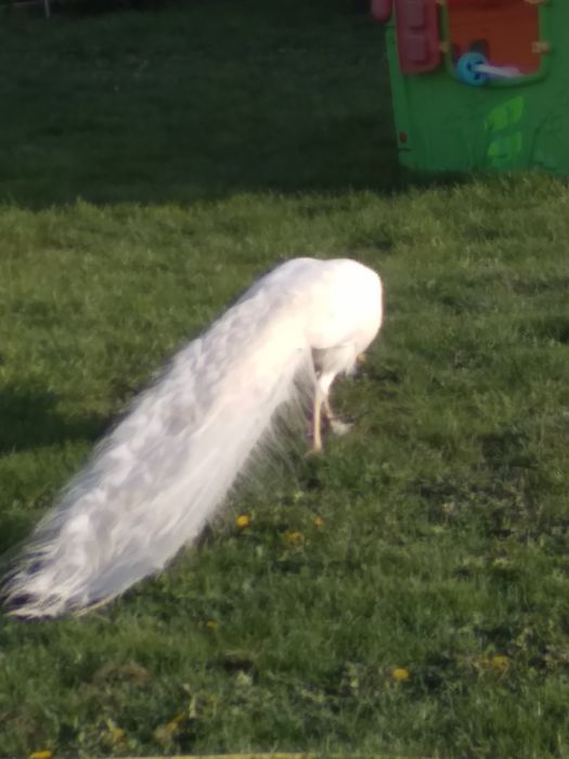 Cine este interesat!