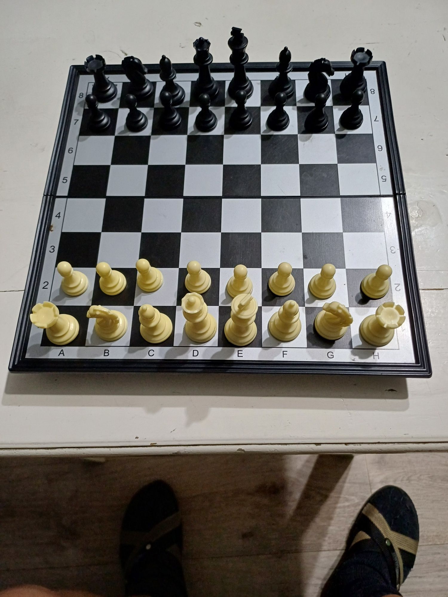 Шахматы на магните