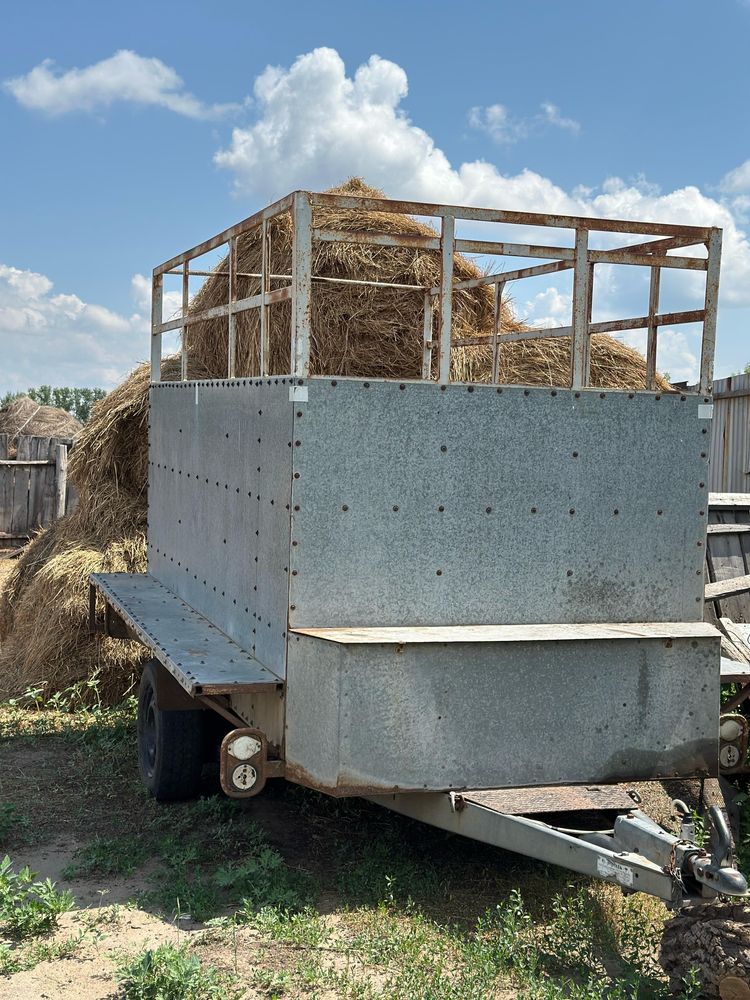Продам прицеп, Коневоз