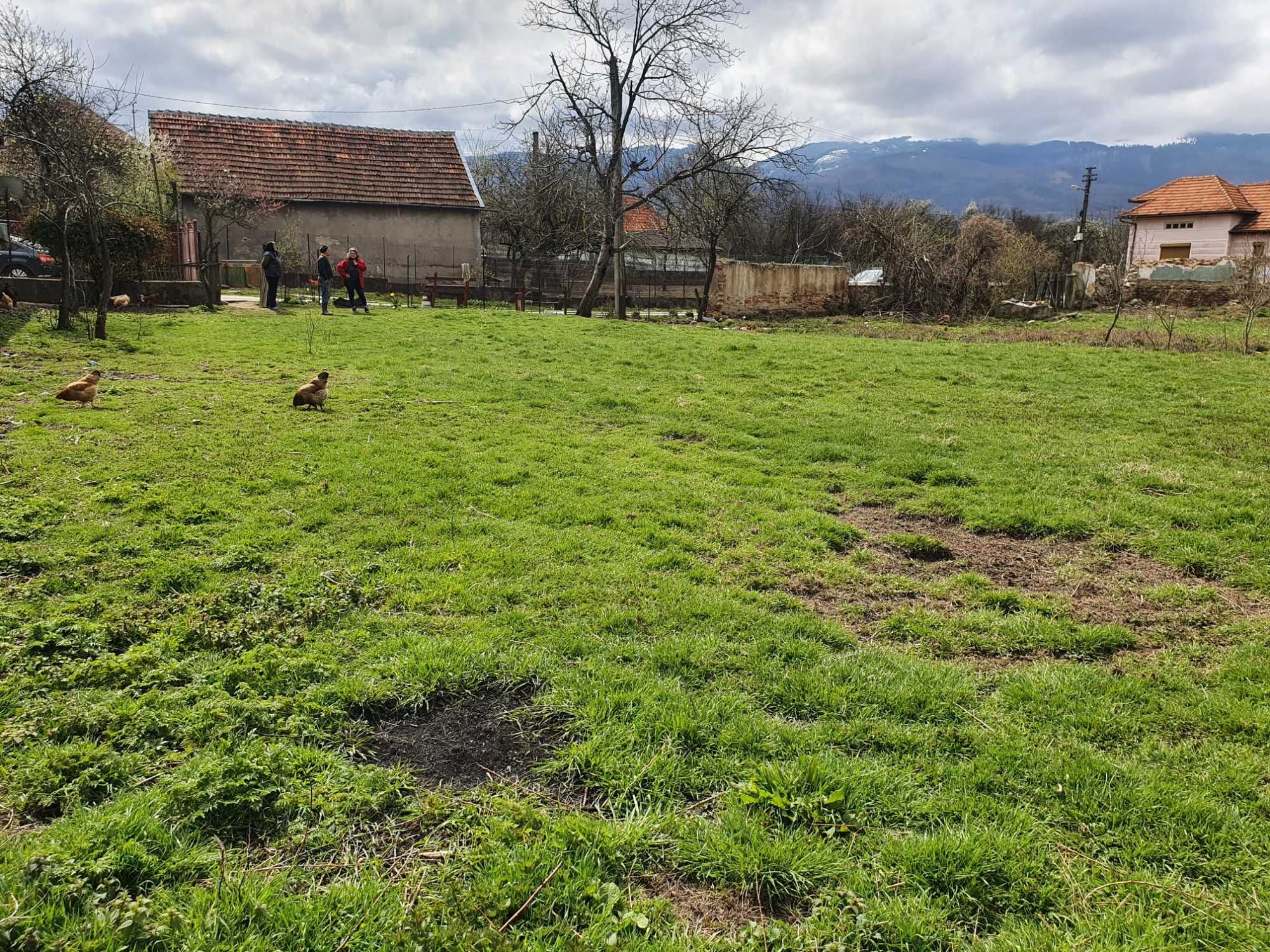 Teren intravilan Livadia de sub Coasta,com Baru,Hunedoara