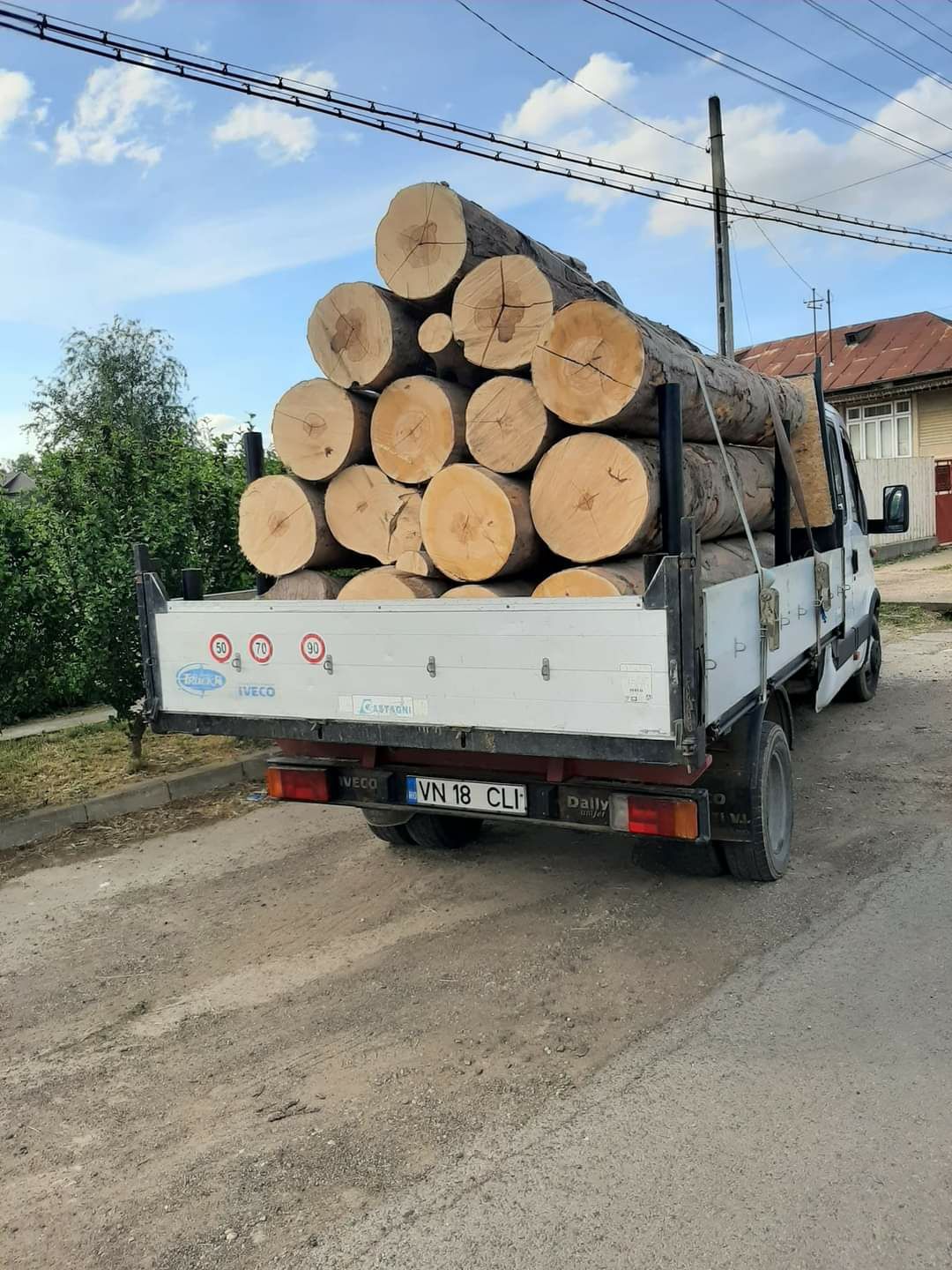 Vând lemne de esenta tare si rumeguș