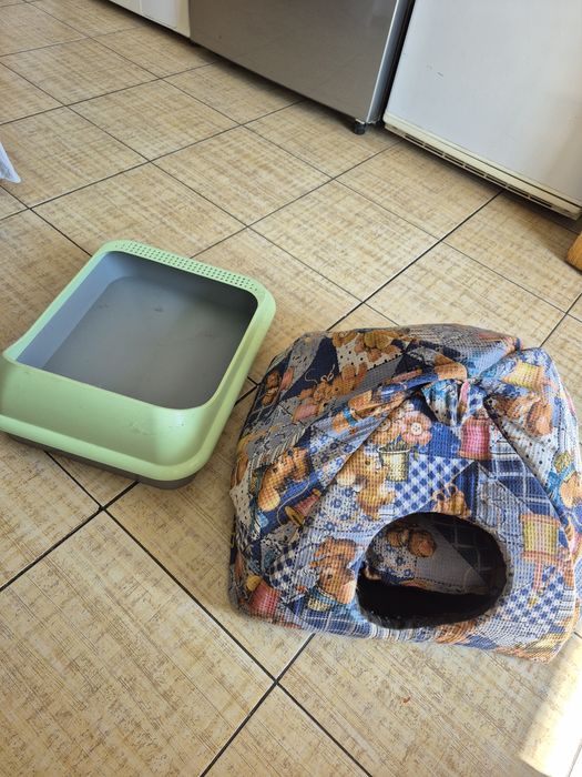 Домик и туалет для котят