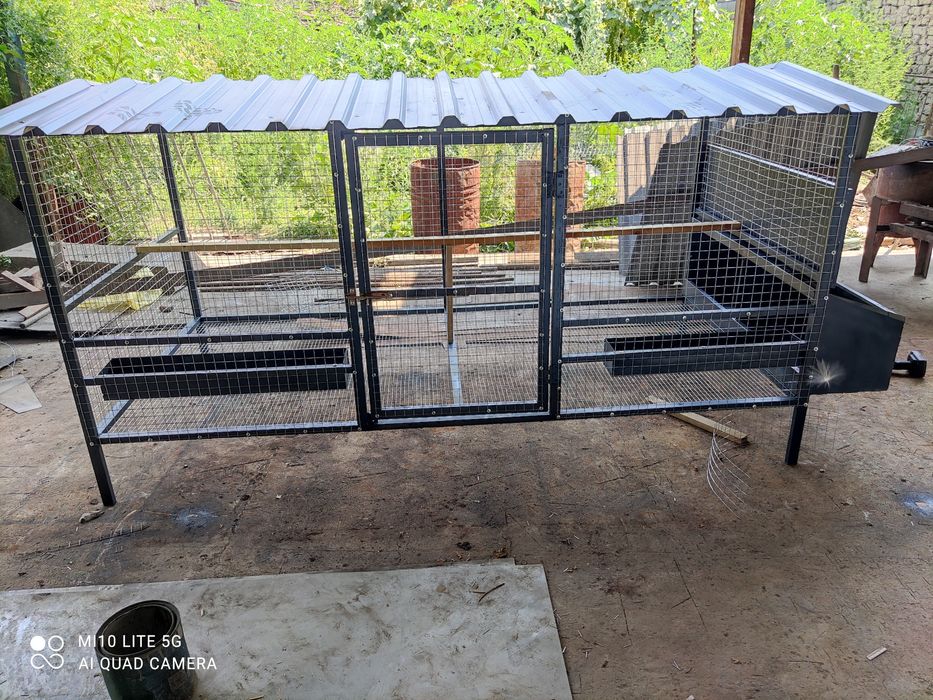 Tovuq kataklar sifatli