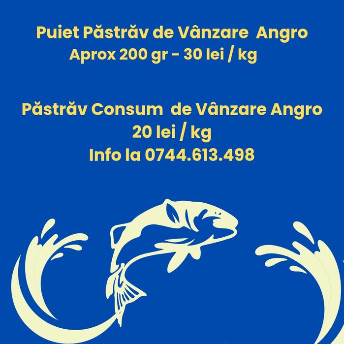 Păstrăv de consum și puiet păstrăv - angro