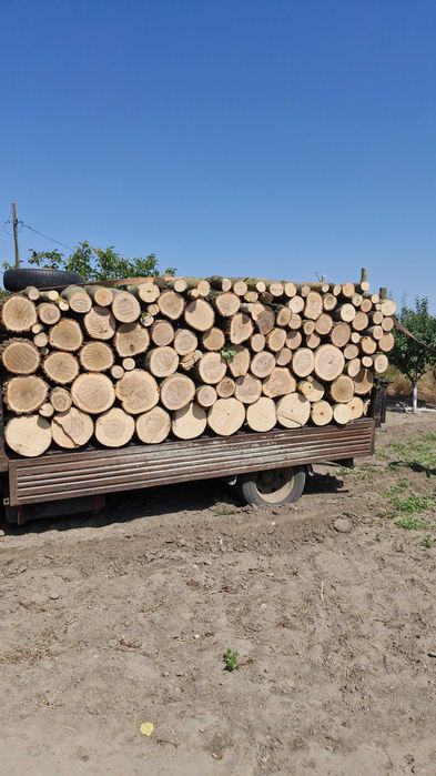 Lemn de foc  esență  tare frasin si stejar si esenta moale tei