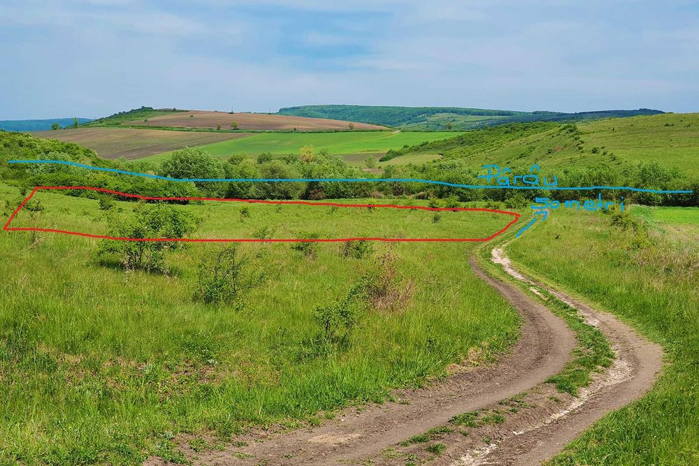 Teren extravilan ieftin de vânzare în comuna Borșa - Cluj