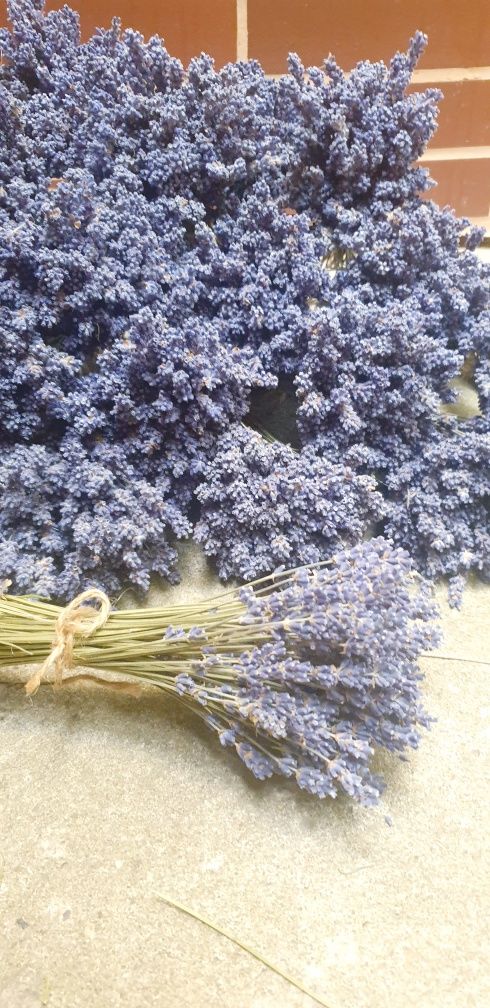 Lavanda buchete uscate