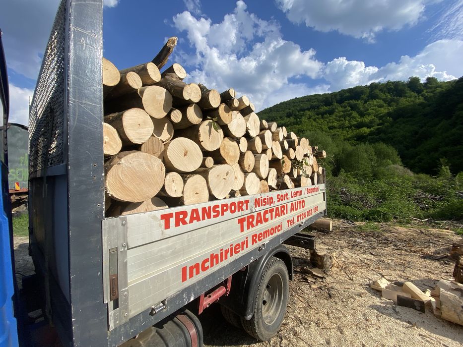 Lemn foc eseata tare