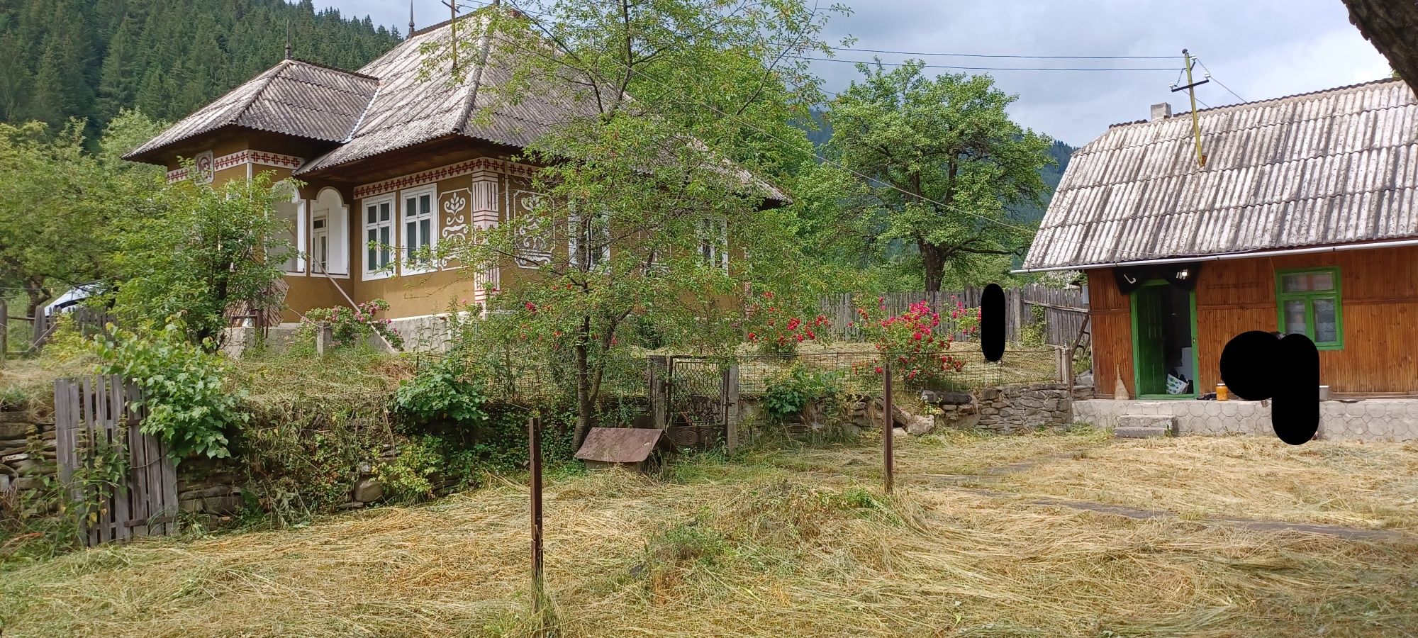 Teren + casa --- com Borca, Neamț