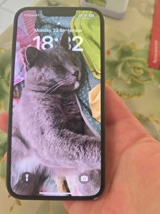Iphne 13 Sierra Blue неразличим от нов