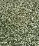 Vand covor nou, fir lung, culoarea verde olive, fabricat in India