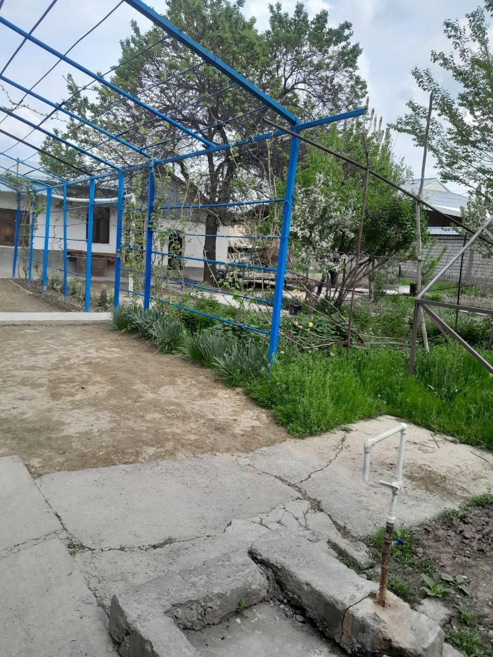 Uchaska sotiladi