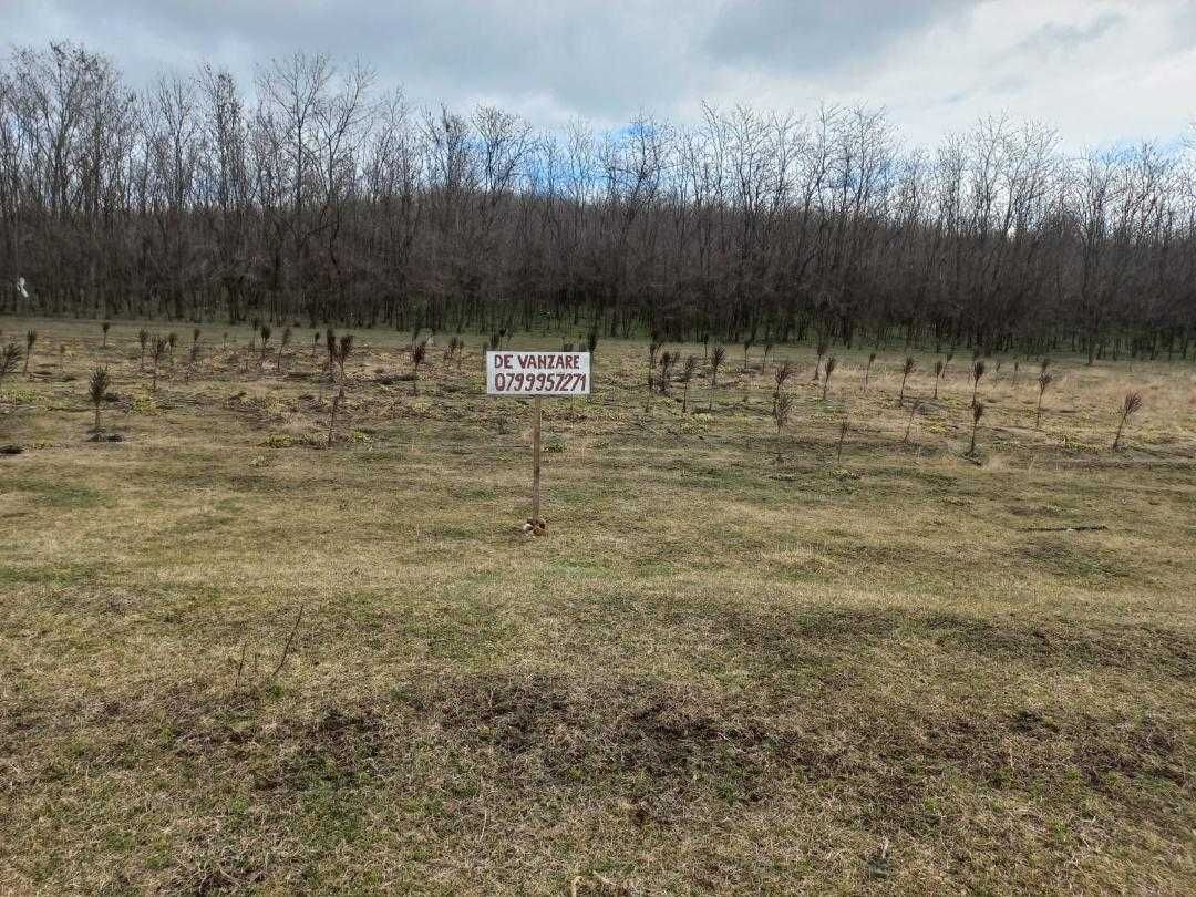 Vand 1000m.p. teren intravilan, municipiul Vaslui.