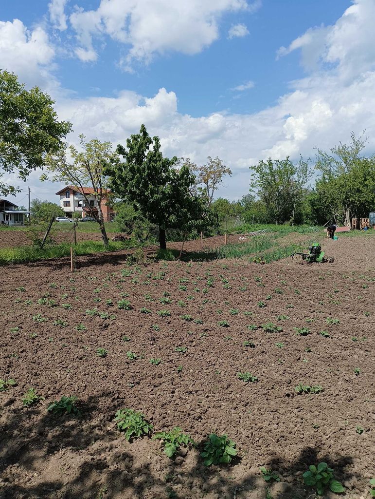 Продава се Къща в с. Избеглии, Област Пловдив - 230 кв.м за 544 €/кв.м - Снимка #9