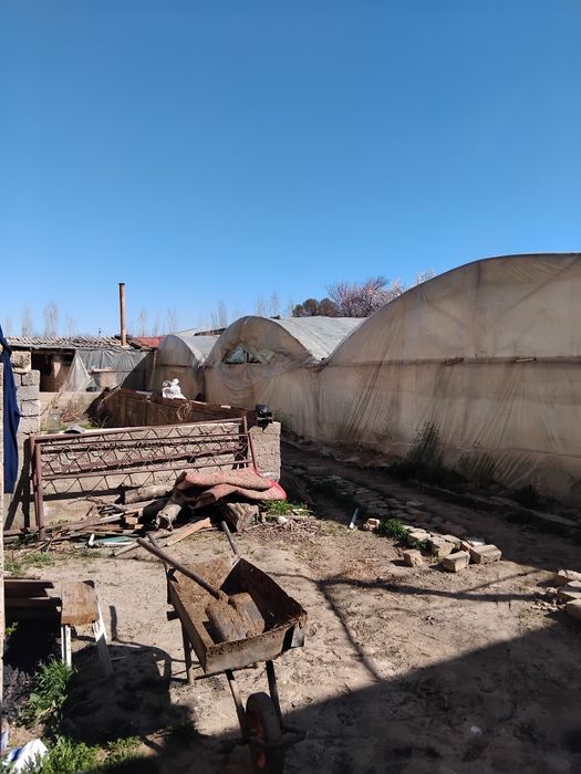 Срочна прадёция уч кахрамон гулстон мажит 6 сотих ер