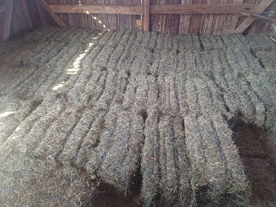 Vind baloti de otava