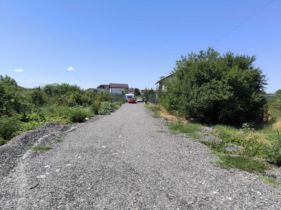 Teren Intravilan Soseaua Alexandriei langa Haliu