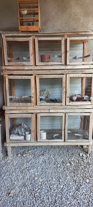 Клетка для кроликов