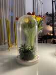 Glob clopot cupola decorativa din sticla tip sera, suport lemn, veche