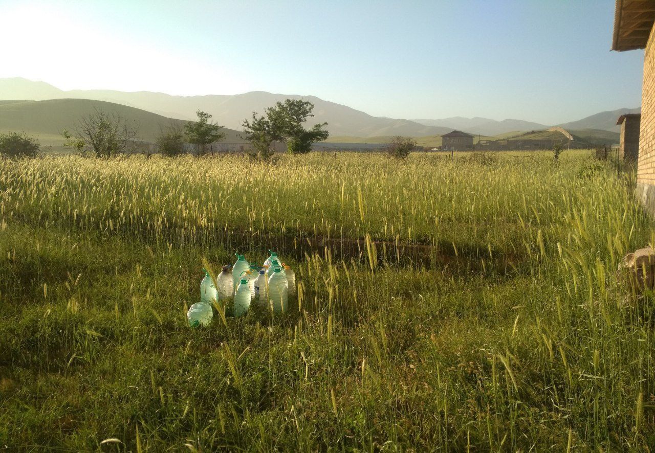 Дача  Ангрен Geologda (Bush yer)