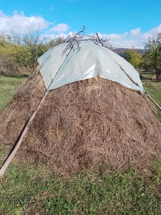 Fân  de bună calitate de vanzare