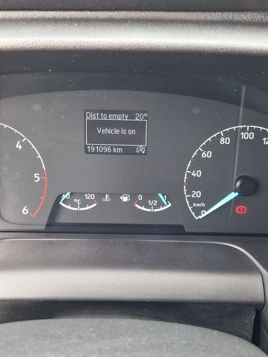 Ford custom 2019 sau schimb