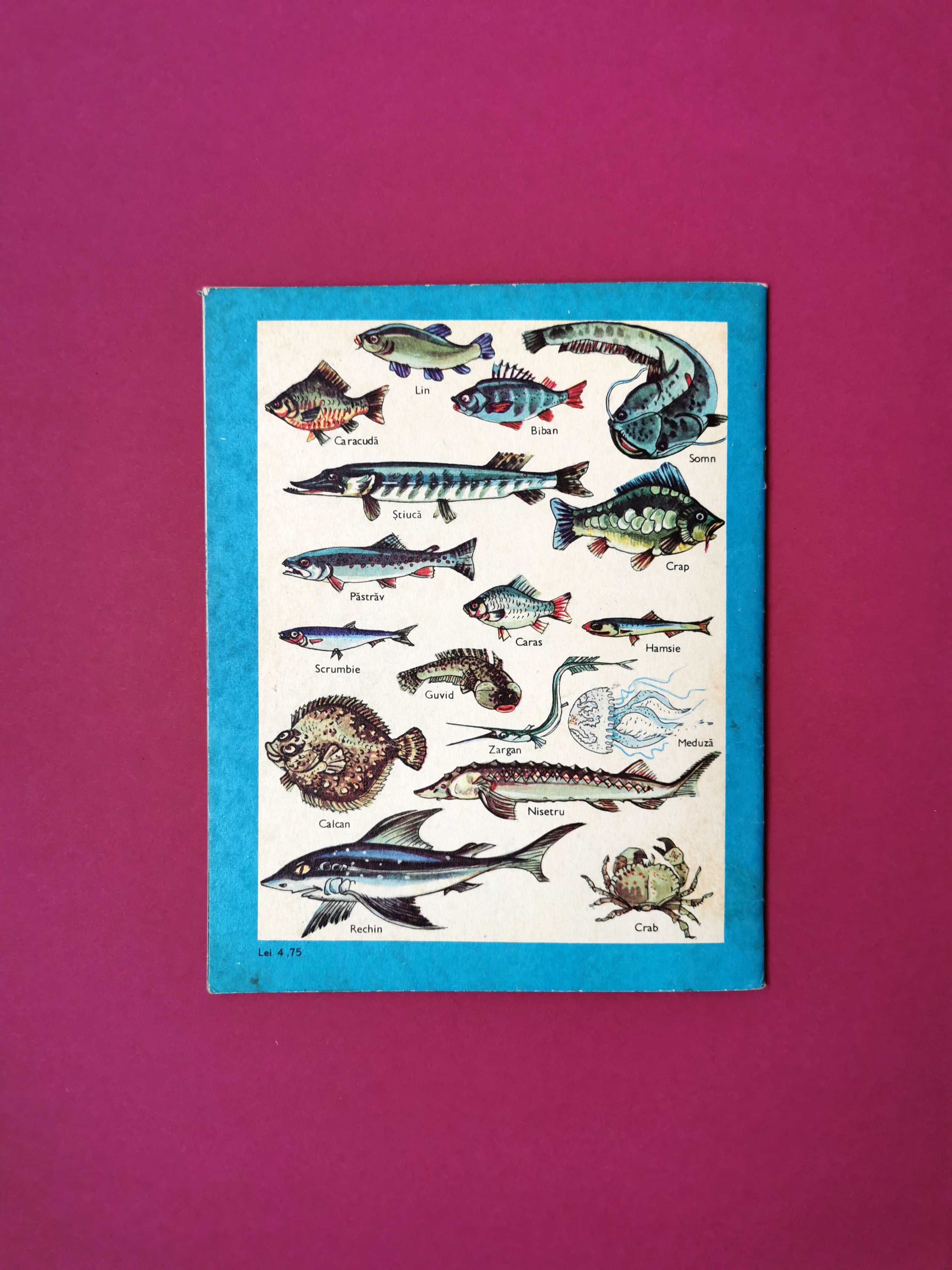 Carte 1978 Betiluna Minodora în țara lui Pește Mămăliga Prăpădește
