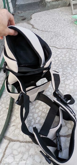 Кенгуро Cangaroo