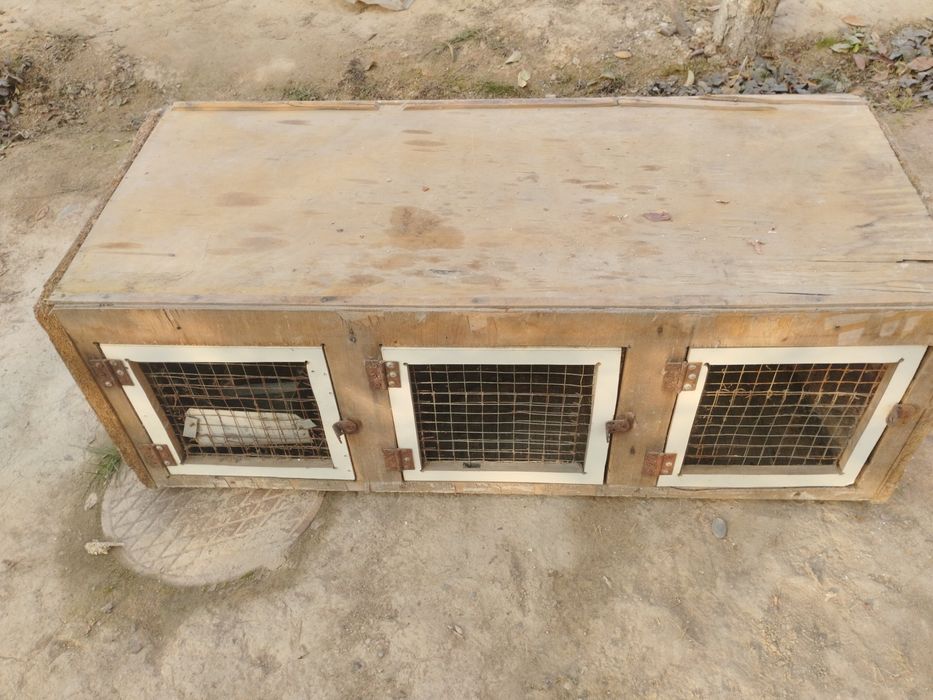 Quyon ini / Клетка для кроликов